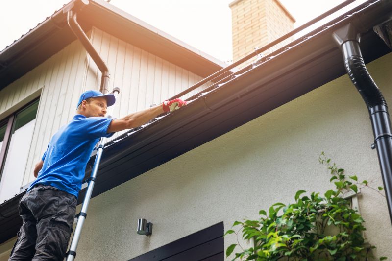 Ladder Safety in Gutter Maintenance